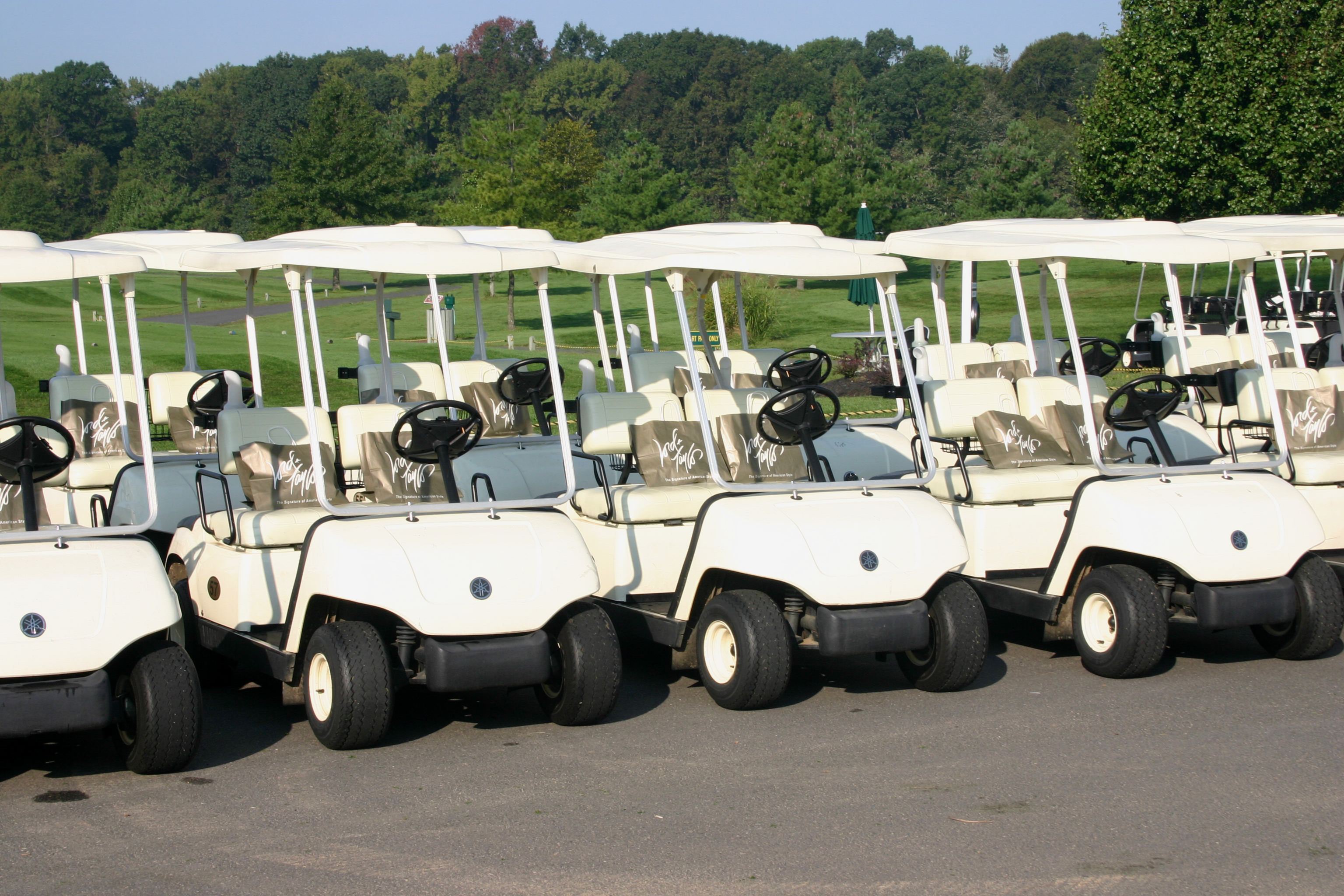 GolfCarts.JPG